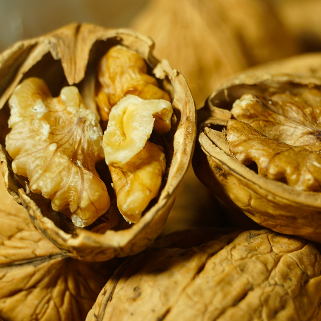 Noci con guscio 1kg