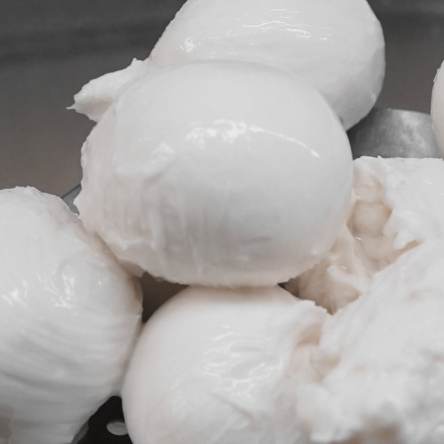 caseificio-favale-fior-di-latte-piccolo4