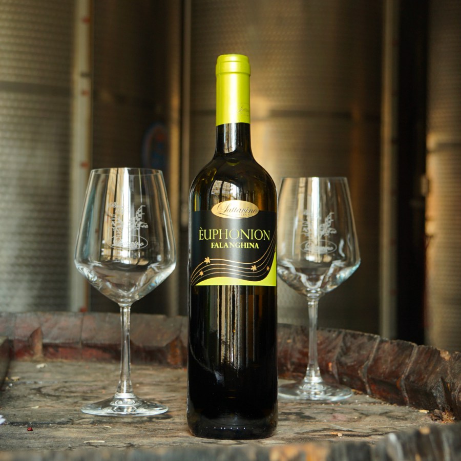 vino_bianco_igp_euphonion_falanghina-4